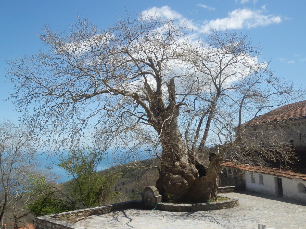 Sintrivanis Mountain Ano Skotina Ngoại thất bức ảnh